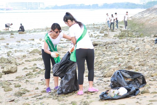 MES2015_CoastalCleanup_1000px_007