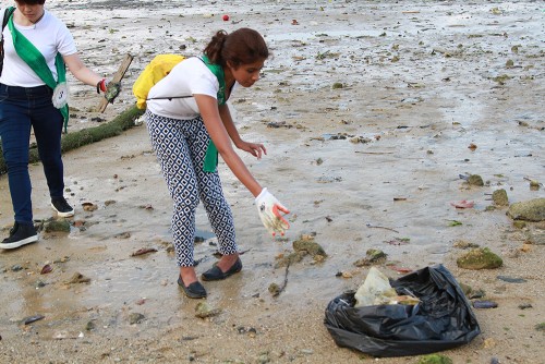 MES2015_CoastalCleanup_1000px_008