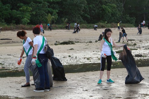 MES2015_CoastalCleanup_1000px_026