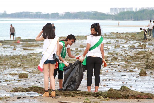 MES2015_CoastalCleanup_1000px_027